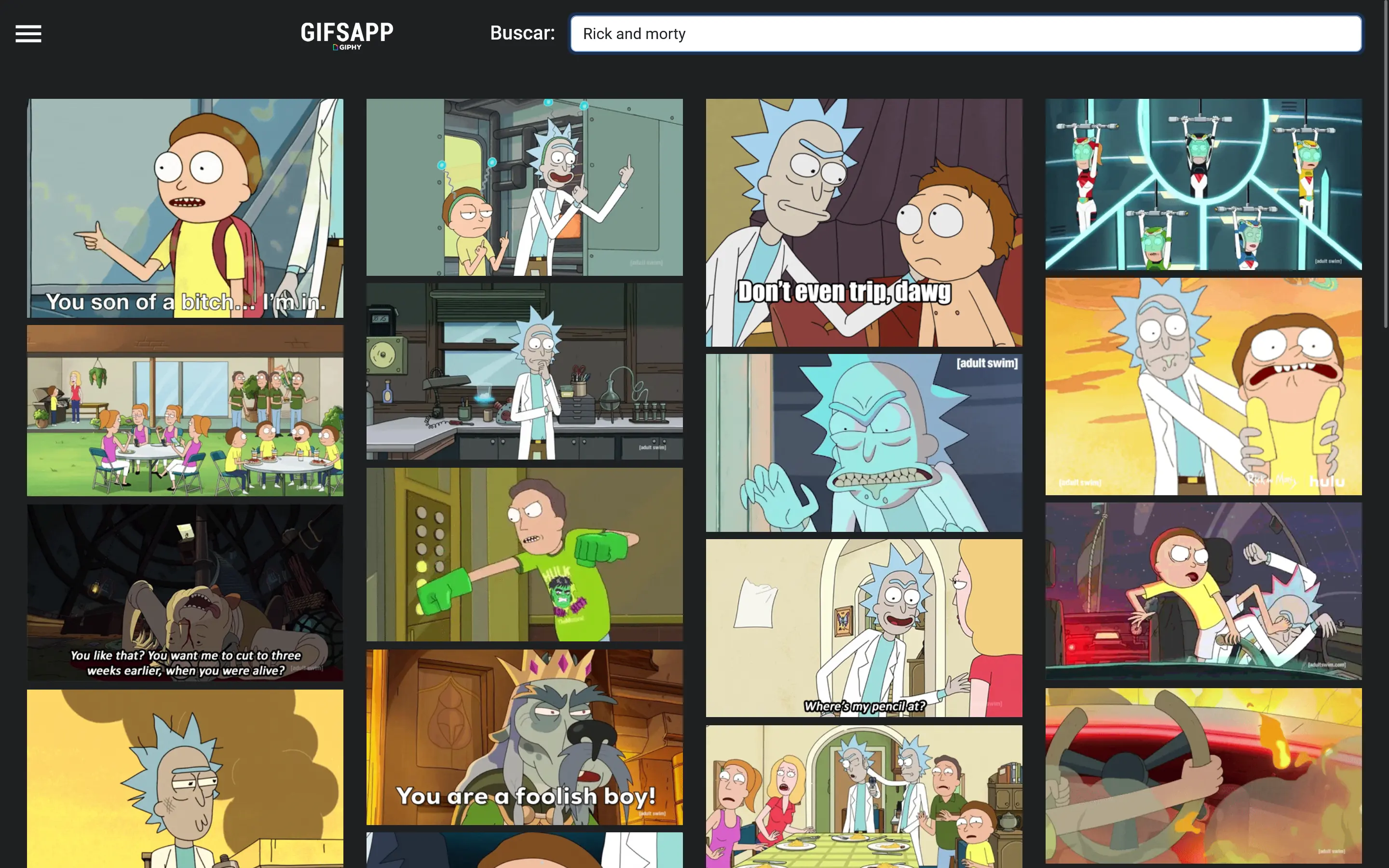 GIFSAPP secondary screenshot 1